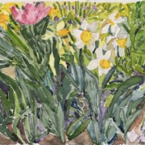Two Mornings at Hollister House: Watercolor Workshop With Pamela Sztybel (Wednesday, July 23 & Wednesday July 30, 10am to 1pm)